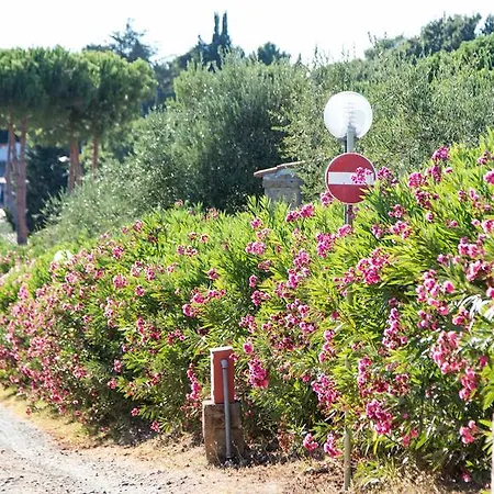 Il Borgo Centro Vacanze リゾート